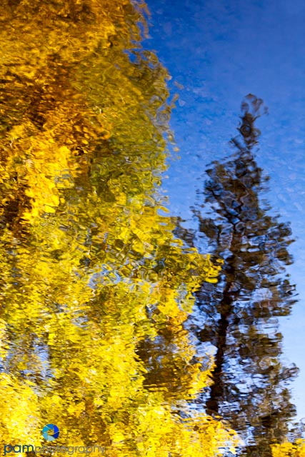 Visual Echos: Photographing&nbsp;Reflections