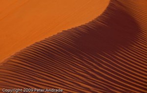 0912_PSA_Death Valley_096-Edit-Edit