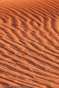 1004_MFA_Arizona_441