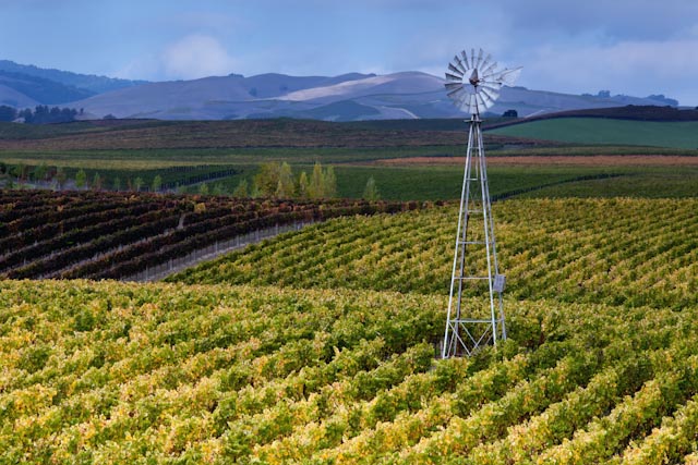 My Favorite iPad Apps for&nbsp;Photography