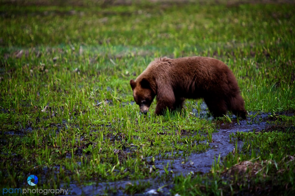 A Weekend in Sequoia National&nbsp;Park