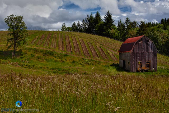 Barn at Colene Clemons Winery