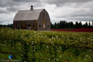 1106_PSA_Oregon_551-Edit-Edit