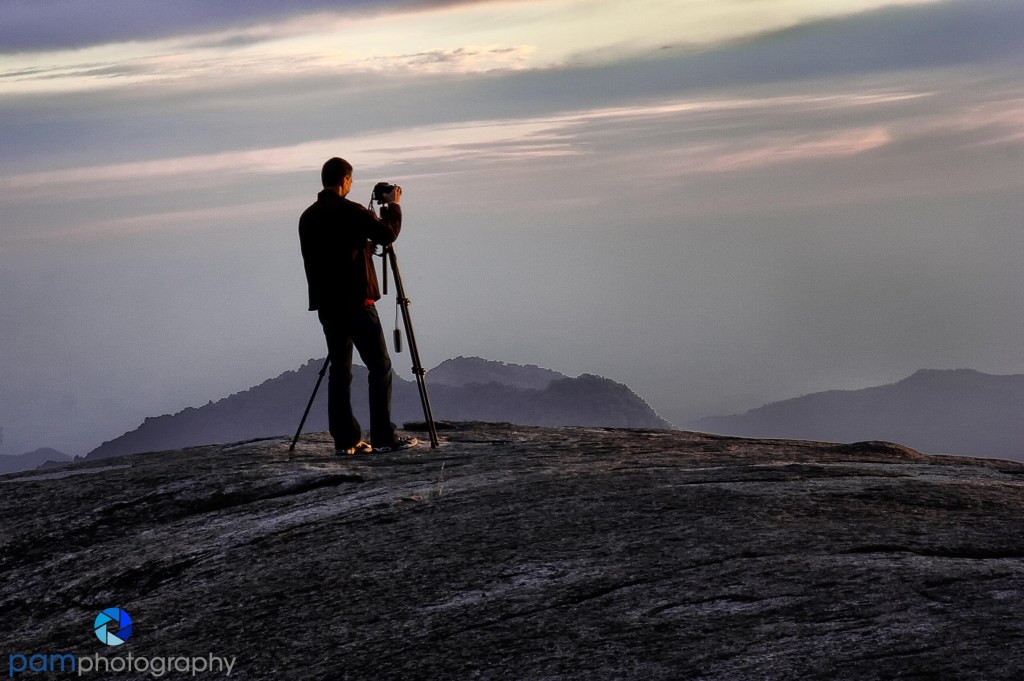 0907_MFA_Sequoia_001-Edit