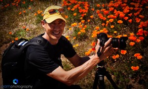 1004_MFA_Poppies_025-Edit