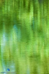 Reflection - green trees in pond