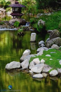 Reflection - original scene