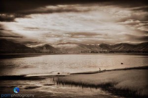 Infrared color negative blended with pure black and white