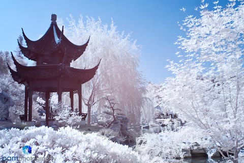 Why I Shoot Infrared&nbsp;Photographs