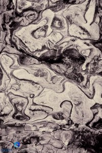 Essence of a subject- beach rocks 2