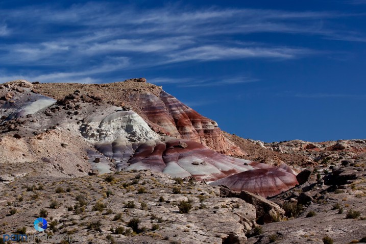 1110_PSA_Utah_052-Edit