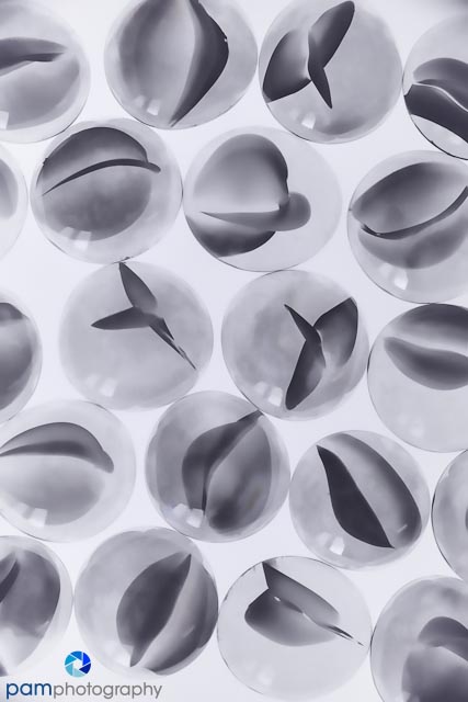 Toned Version of Glass Beads