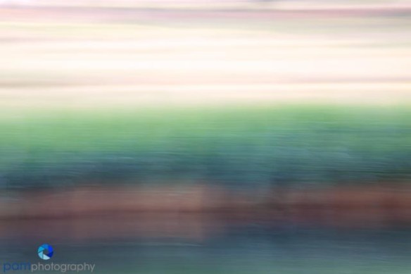 1205_MFA_movement_019-Edit