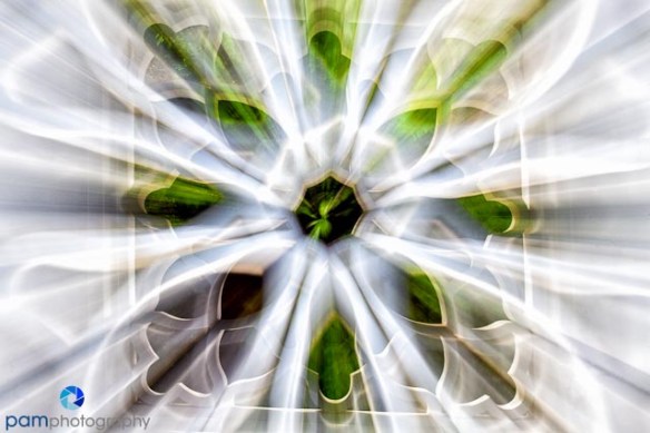 1205_MFA_movement_332-Edit