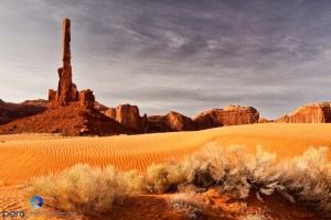 1004_MFA_Arizona_458-Edit