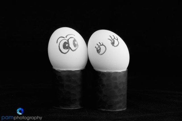 1206_MFA_eggs_099-Edit