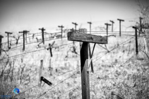 1206_MFA_Temecula_158-Edit