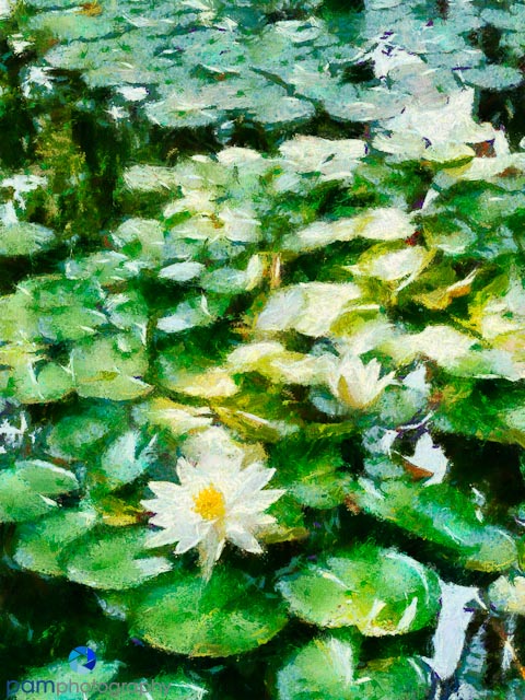 1205_MFA_untitled_244-Edit_DAP_Monet