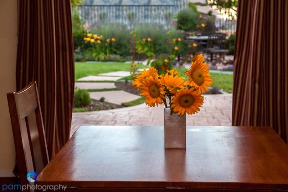 1206_MFA_potpurri_1236-Edit