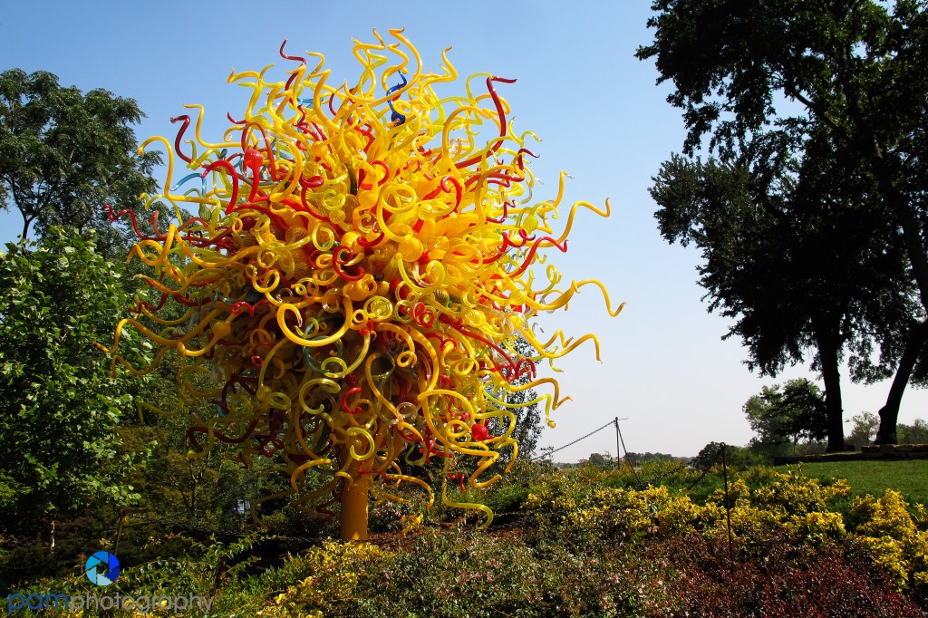 Photographing Chihuly Glass Sculptures at the Dallas&nbsp;Arboretum