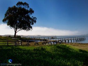 1107_PSA_Morro Bay_432-Edit