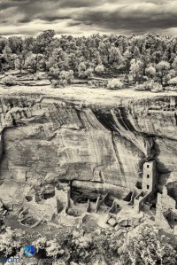 1209_MFA_mini_circle_306-Edit