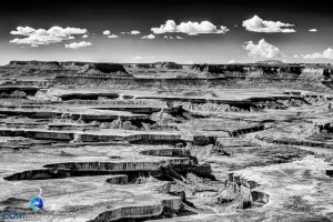 1209_MFA_mini_circle_556-Edit