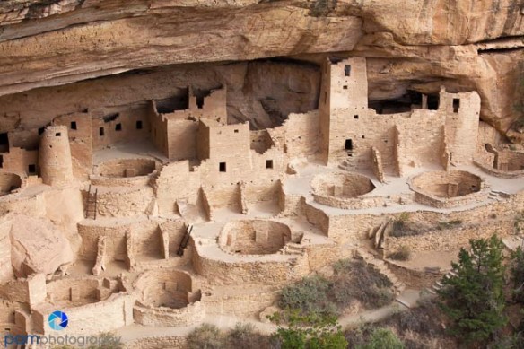 1209_PSA_mini_circle_240-Edit