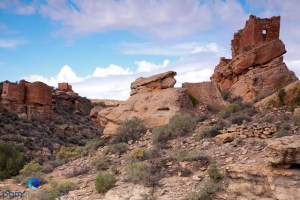 1209_PSA_mini_circle_364-Edit