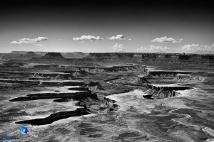 1209_PSA_mini_circle_552-Edit