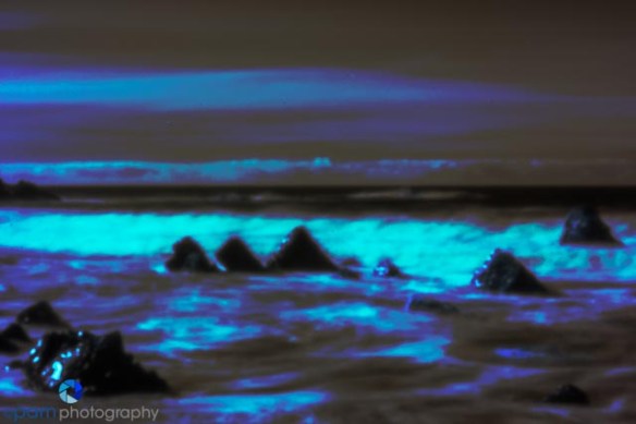 1212_MFA_Big Sur Infrared_0163-Edit