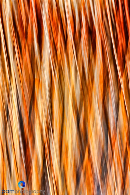 1202_MFA_New Mexico_632-Edit