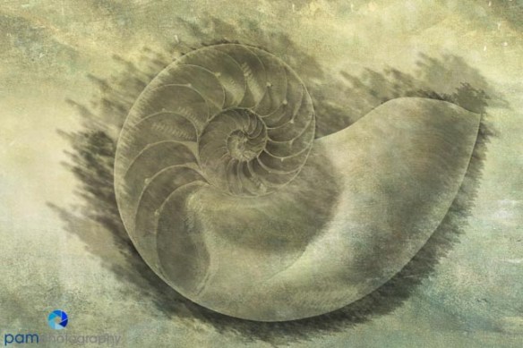 1204_MFA_abstract_147-Edit