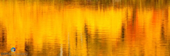 1209_MFA_mini_circle_200-Edit