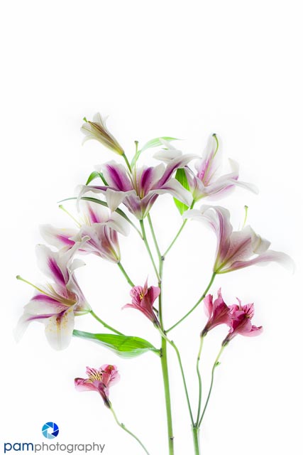 1301_MFA_Art Flowers_091-Edit