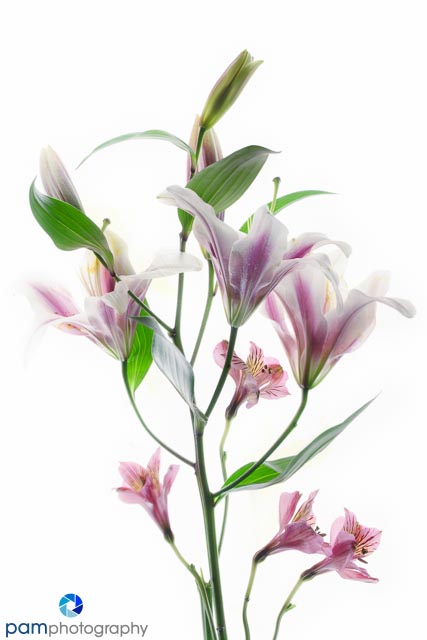 1301_MFA_Art Flwers_079-Edit