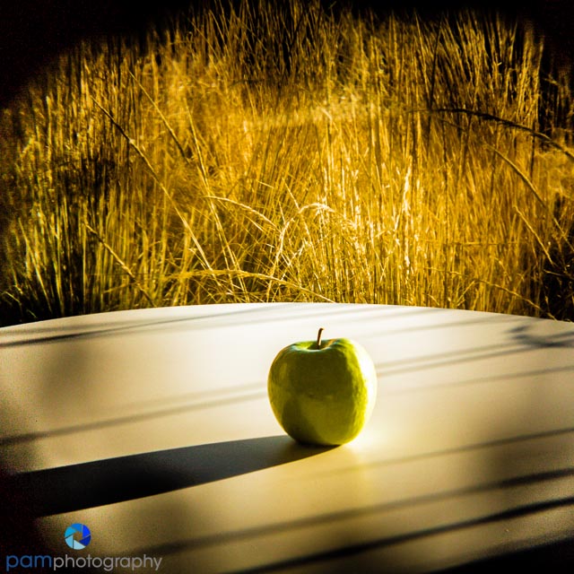 Photography Project 52:  Week 40 – Holga&nbsp;Photography