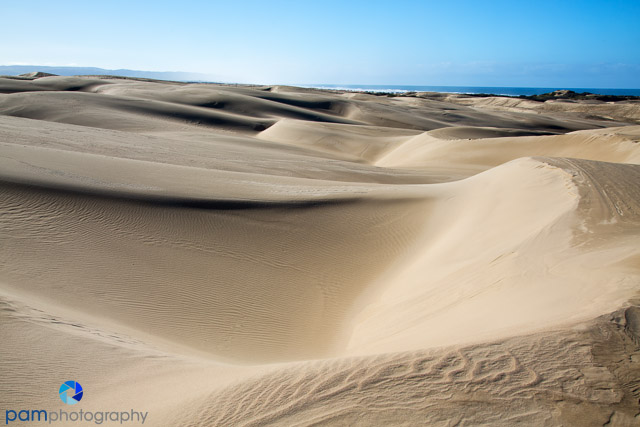 Photographing the Oceano Sand Dunes Near Pismo&nbsp;Beach