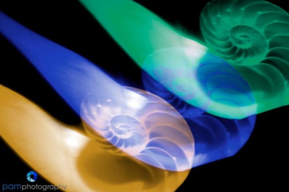 1204_MFA_Abstract_109-Edit