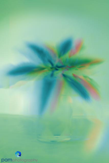 1301_MFA_Art Flowers_112-Edit