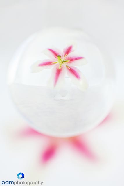 1301_MFA_Crystal Ball_002-Edit