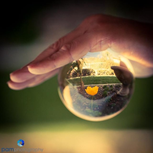 1303_MFA_Crystal Ball_041