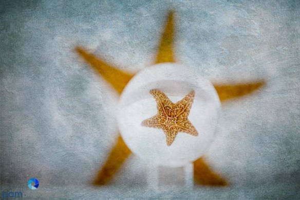 1303_MFA_Crystal Ball_051-Edit