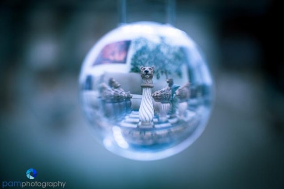 1303_MFA_Crystal Ball_057