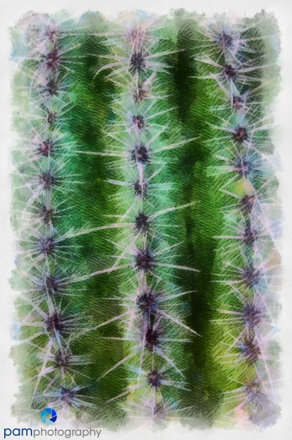 1303_MFA_Pheonix_043_DAP_Book