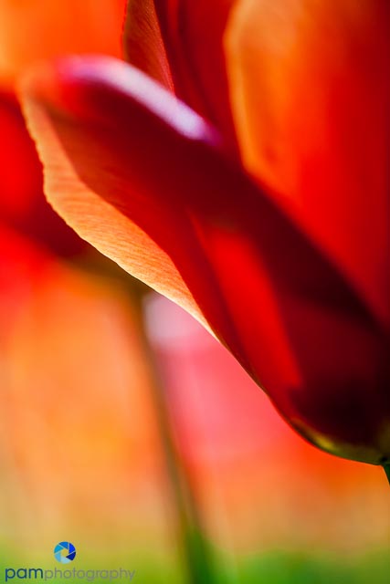 1303_MFA_Descanso_044-Edit