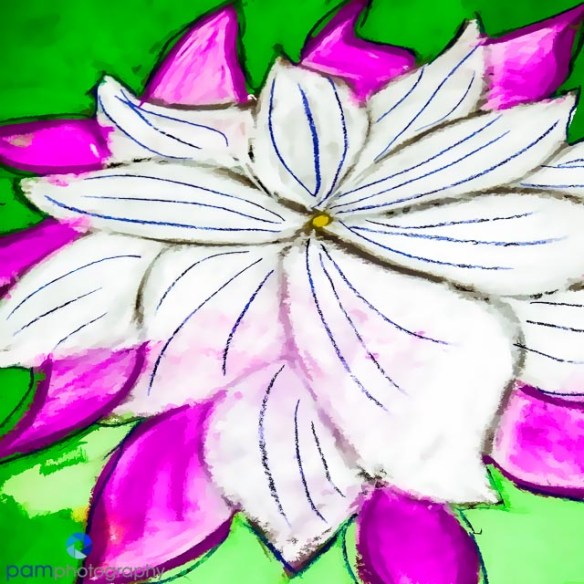 1304_MFA_Chalk_007-Edit