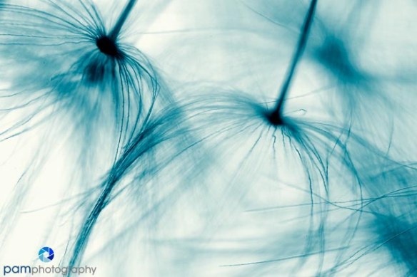 1304_MFA_Super Macro_034-Edit