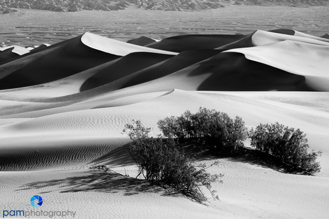 Finding the Essence of a&nbsp;Subject