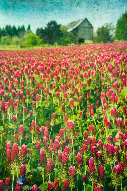 1305_MFA_Portland_120-Edit